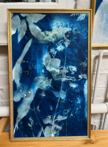 Picture of One of a kind framed cyanotype - 42x59.4cm including reclaimed frame