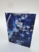 Picture of "Garden Spells", Austrian cyanotype by Selina Javaid