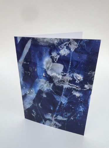 Picture of "Garden Spells", Austrian cyanotype by Selina Javaid